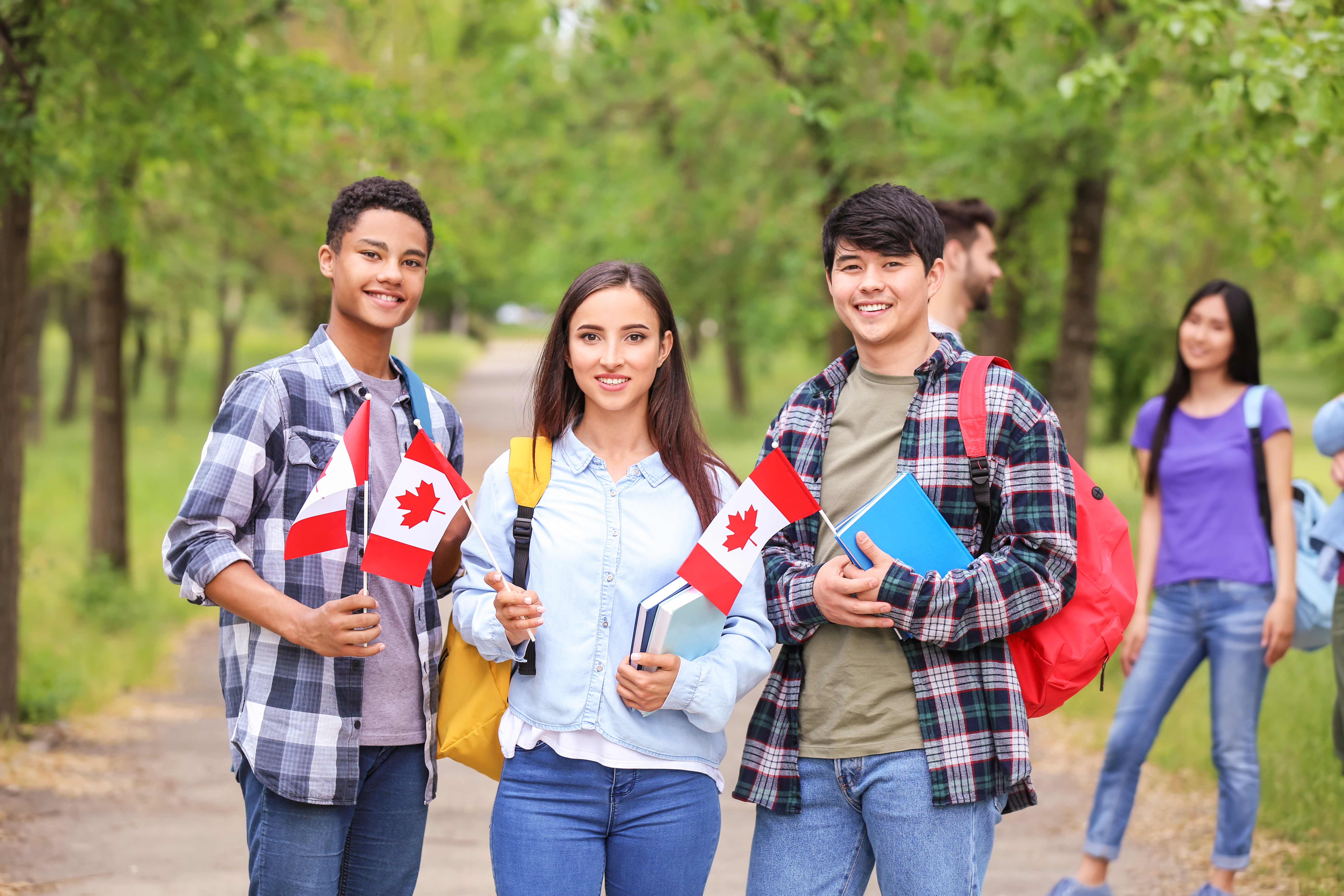 Investing in Learning: Exploring Grants and Trends in Canadian Education
